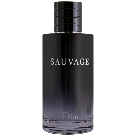 Christian Dior Sauvage Eau de toilette férfiaknak EDT