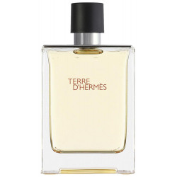 Hermes Terre d`Hermes férfi parfüm EDT