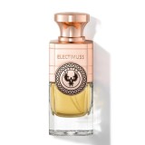 Electimuss Auster Sample Minta