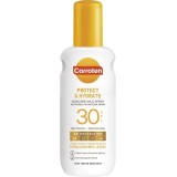 Carroten Protect & Hydrate...