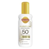 Carroten Protect & Tan...