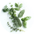 Aromás